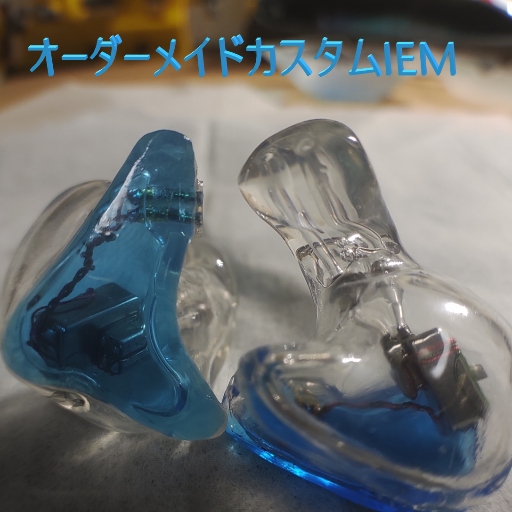 オーダーメイド カスタムiem カスタムイヤホン 3BA | www.imperermita