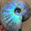 マダマダマダガスカルさんのプロフィール画像