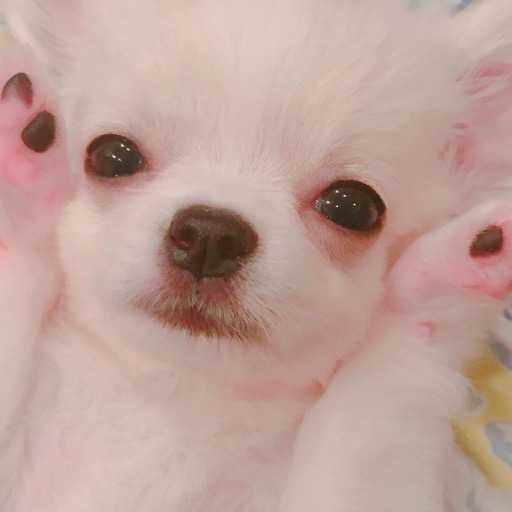 miy********