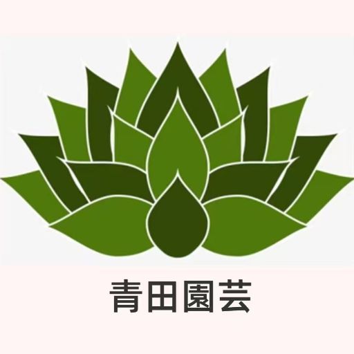 6VzvieHK1xq4pi42TqhRtRY3EXJ67