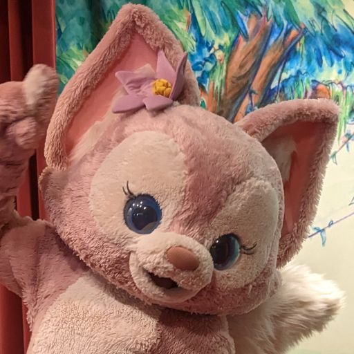 香港ディズニーランド20周年ダッフィー&フレンズスピリットジャージXS