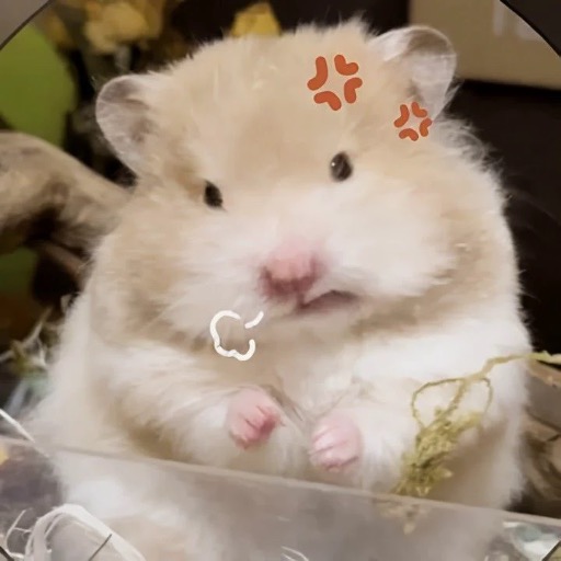 ろる