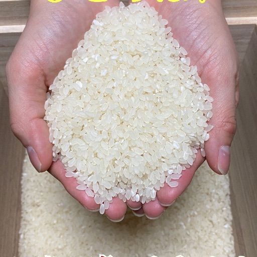 VC-1250 長期保管品 ジャンク リョービ｜Yahoo!フリマ（旧PayPayフリマ）