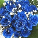 rose bleueさんのプロフィール画像