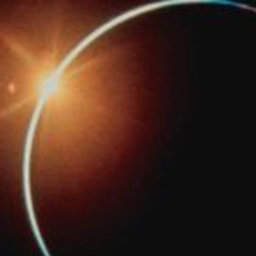 Yahoo!オークション - 水谷さくらカレンダー 直筆サイン水着マスターチ