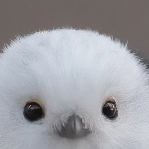 りと