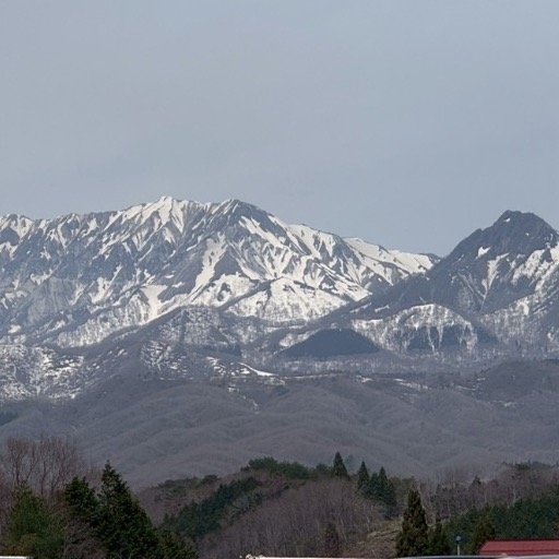 gaugw