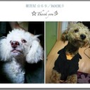雑貨屋 ☆69/ROCK彡さんのプロフィール画像