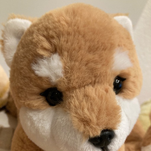 ふみ