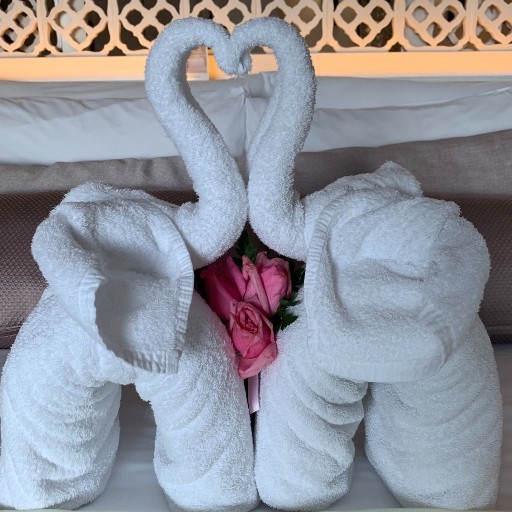 YOSA ヨサ フェムフーミン｜Yahoo!フリマ（旧PayPayフリマ）