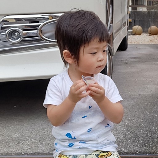みどり