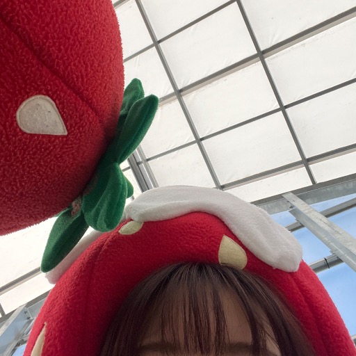 ちゃ