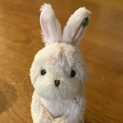 うさうさ