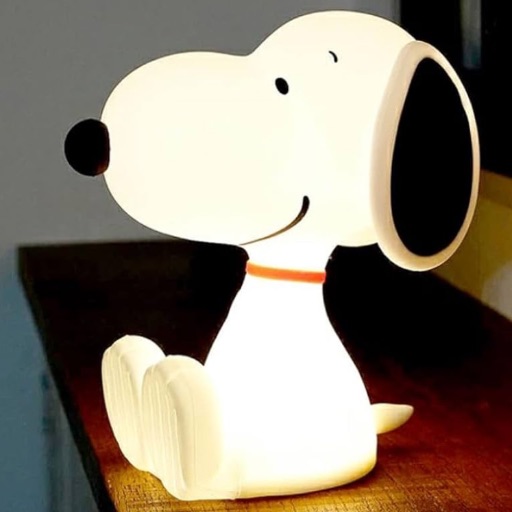 新品 echo & synchro jelly｜Yahoo!フリマ（旧PayPayフリマ）