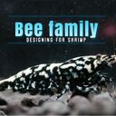 Bee Familyさんのプロフィール画像