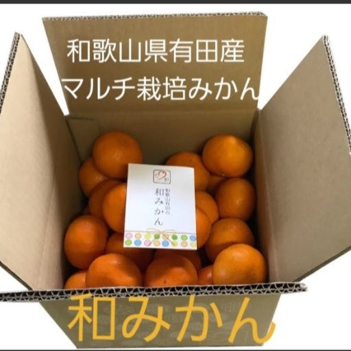 みかんの出品リスト｜Yahoo!フリマ（旧PayPayフリマ）