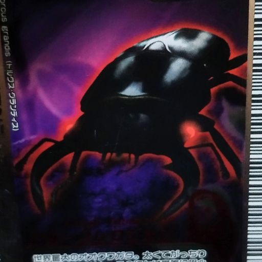 甲虫王者ムシキング 2004セカンド マンディブラリスフタマタクワガタ