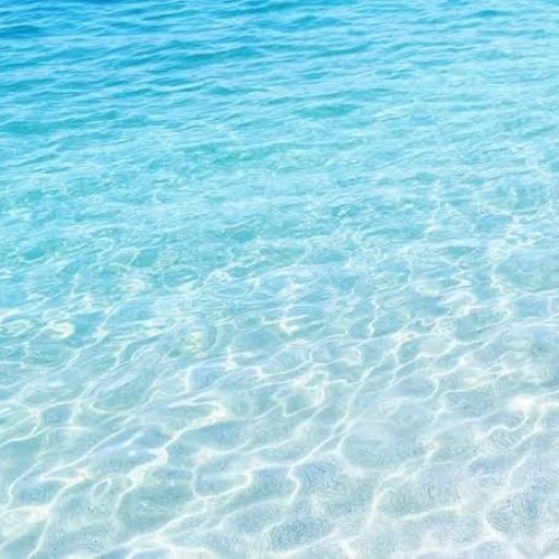 8FYrHrFrLLHHqcDSqv8vaYJ5vpsDz