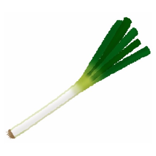 長ねぎ