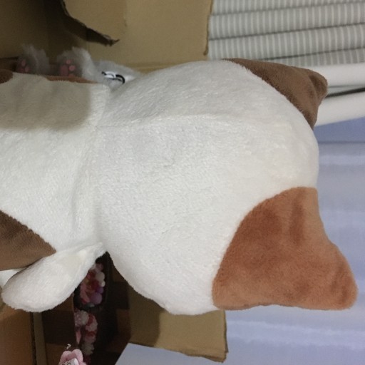 キャピタ ピーターライン153 レインボー激レア　バイン Ride M キャピタ ピーターライン153 レインボー激レア バイン Ride M - メルカリ