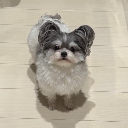 てと