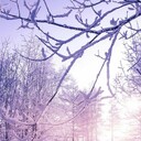 雪の日さんのプロフィール画像