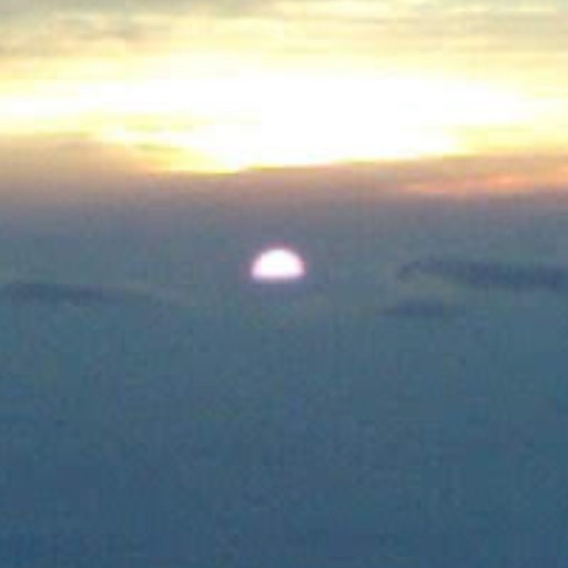 wildsky