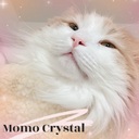 Momo_Crystalさんのプロフィール画像