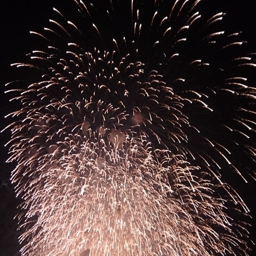 夜干