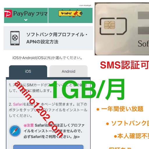 SoftBank プリペイドSIMカード 毎月5GB SMS受信可 データSIM SMS認証