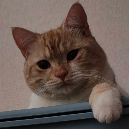 涼真