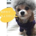 ロンタオさんのプロフィール画像