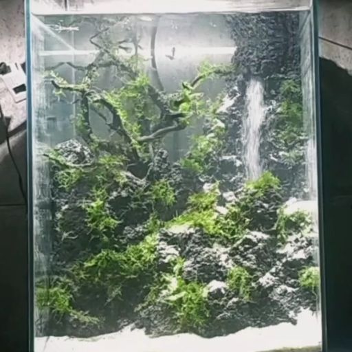 2段の滝の流れる アクアテラリウム｜Yahoo!フリマ（旧PayPayフリマ）
