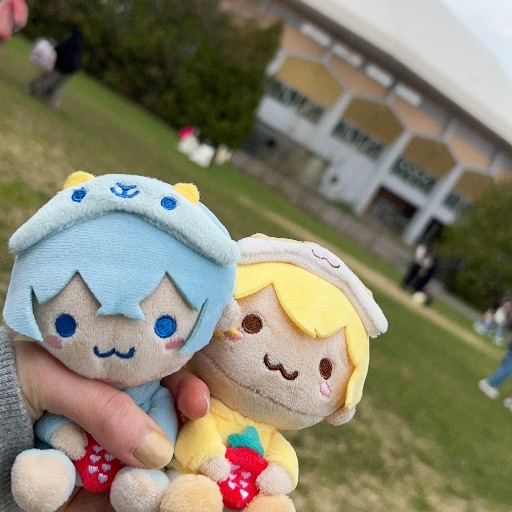 STPRFamilyFestival 缶バッジ｜Yahoo!フリマ（旧PayPayフリマ）
