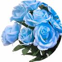 blue roseさんのプロフィール画像