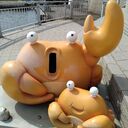 コタローさんのプロフィール画像