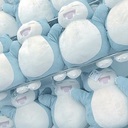 maruさんのプロフィール画像