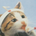 ネコさんさんのプロフィール画像