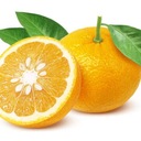 蜜柑 再出品◎お気軽に!同梱割◎さんのプロフィール画像